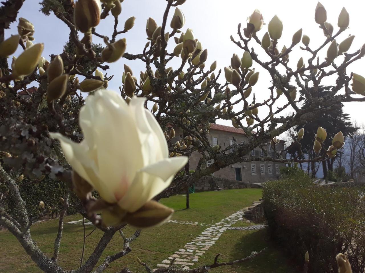 Quinta De Aguia - Non-Smoking Property Hotel Sao Lourenco do Douro Luaran gambar