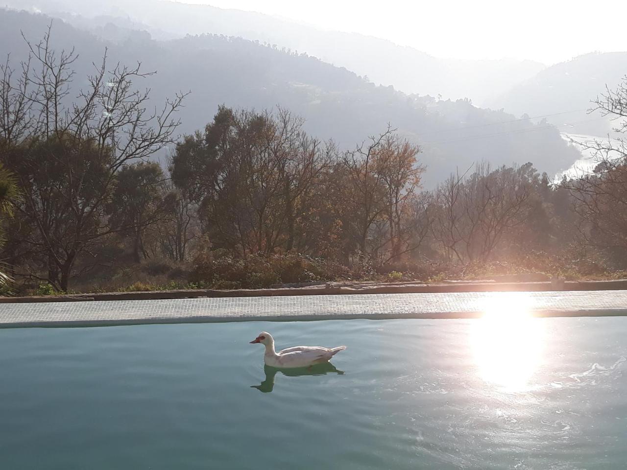 Quinta De Aguia - Non-Smoking Property Hotel Sao Lourenco do Douro Luaran gambar